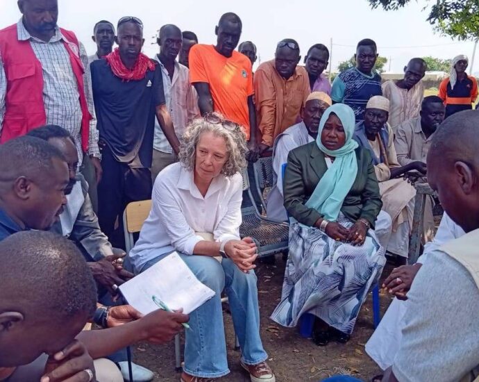 UN delegation examines humanitarian situation in Blue Nile