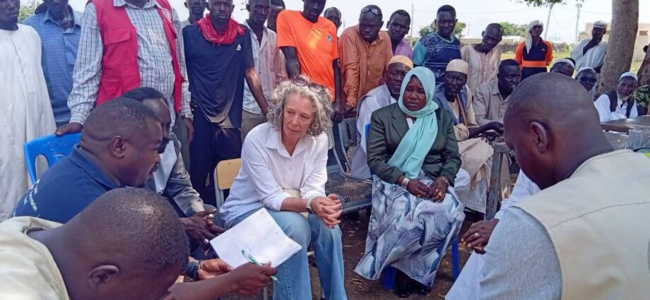 وفد أممي يبحث الأوضاع الإنسانية في النيل الأزرق