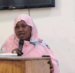 مسؤولة: 27 مخيماً للنازحين في النيل الأزرق